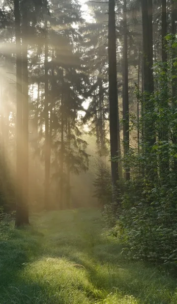 Protiviti addresses ESG goals for our employees and clients